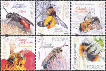 6 PCS Polónia Selos postais, 2021, Insetos-abelhas, Real Original Selos para Coleção, MNH